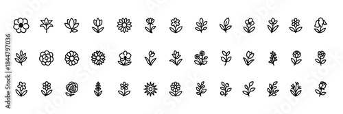 Botanical flower icon set, black silhouette vector glyphs of anemone lily magnolia dahlia violet, floral garden nature pictograms, greenery decoration illustration, spring summer plant icons