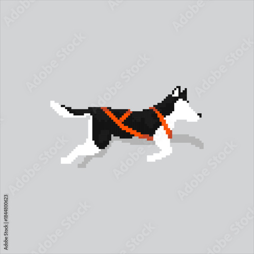 Pixel art illustration Snow Sled Dog. Pixelated Sled Dog Animal. Snow Sled Dog Animal Icon pixelated for the pixel art game and icon for website and video game. old school retro.