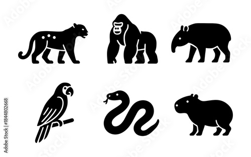 Black silhouette illustrations of various animals on a white background