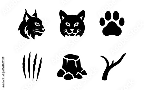 Black Lynx and Nature Elements Vector Illustrations
