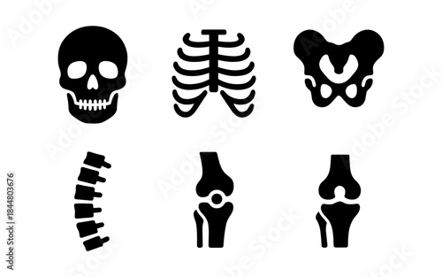 Human skeletal system icons in a simple, modern, and minimalist style