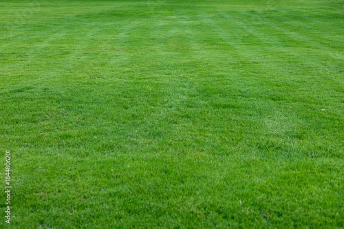 A lush green lawn with neatly mowed stripes. The grass is vibrant and healthy, showcasing a well-maintained outdoor space.
