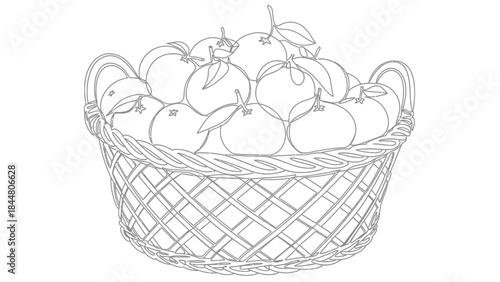 Line Drawing of a Wicker Basket Filled with Fresh Apples and Leaves for Fall harvest or grocery