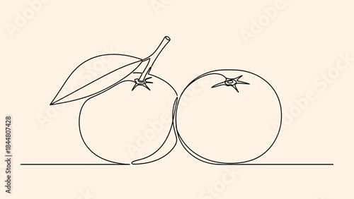 Minimalist Continuous Line Drawing of Two Juicy Oranges with Leaf and Stem