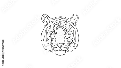 Minimalist Line Art Illustration of a Fierce Tiger's Face with Expressive Details