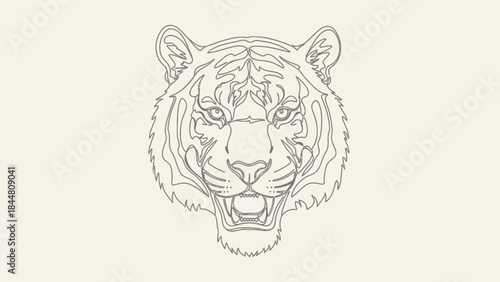 Minimalist Line Art Illustration of a Fierce Tiger Head with Open Mouth Showing Sharp Teeth