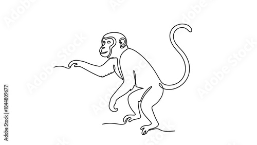 Minimalist Line Drawing of a Curious Monkey Extending Its Hand in a Simple Artistic Style