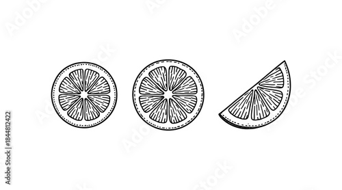 Black and white illustration of sliced citrus fruit, perfect for design projects