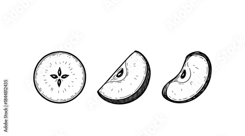 Hand-drawn apple slices illustration, perfect for food and healthy eating concepts