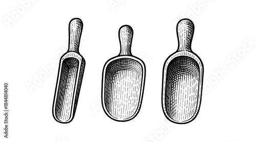 Detailed hand-drawn illustration of three wooden scoops on a white background