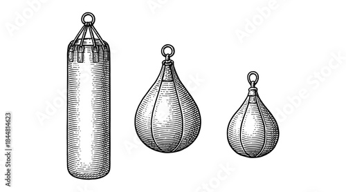 Engraved illustration of boxing equipment, perfect for fitness and training