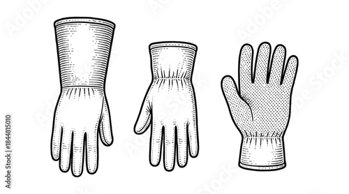 Detailed illustration of three different gloves in a vintage engraving style