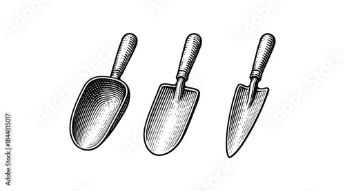 Engraved illustration of gardening tools on a white background