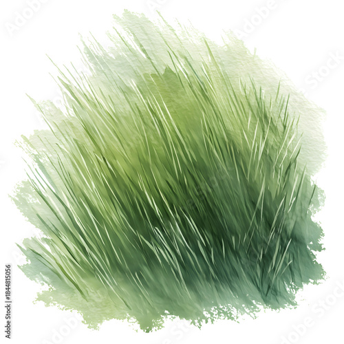 Watercolor grass patch soft strokes natural green tones textured white background