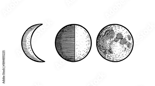 Detailed illustration of the phases of the moon in a vintage engraving style