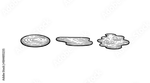 Ink illustration of water puddles with concentric circles on white background