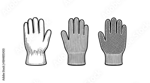 Detailed illustration of three different gloves in a vintage engraving style