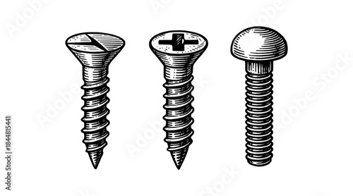 Detailed illustration of three different screw types on a white background