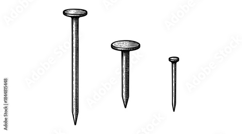 Engraved illustration of three different sized nails on a white background