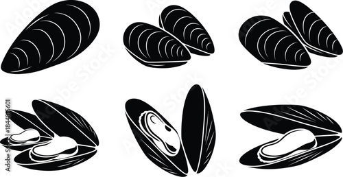 Black and white illustration of mussels in various open and closed positions