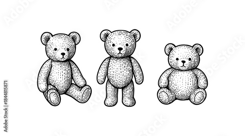 Vintage teddy bear illustration in a classic engraved style on white background
