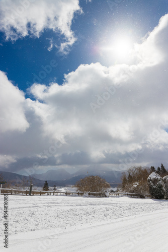 九重町の雪景色（大分県九重町）