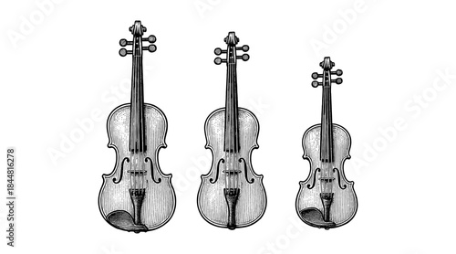 Vintage illustration of three violins in a row, black and white drawing.