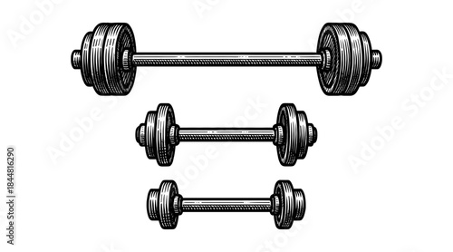 Engraved barbells illustration, perfect for fitness, gym, and workout themes