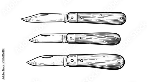 Detailed illustration of three pocket knives with wooden handles on white background