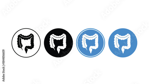 Four stylized colon icons in different colored circles on a white background.