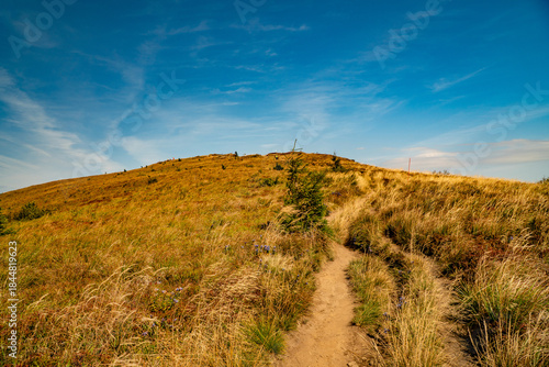 Fototapeta Naklejka Na Ścianę i Meble -  The Bieszczady Mountains, Carpathians, Poland.