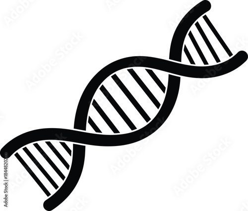 A simple black and white illustration of a dna double helix structure