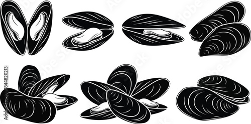 Detailed monochrome illustration of various mussel shells in different orientations