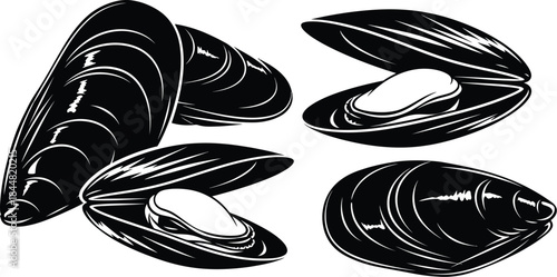 A graphic illustration of several mussels some closed and some slightly open