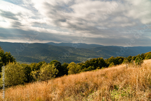 Fototapeta Naklejka Na Ścianę i Meble -  Polonina Wetlinska, Bieszczady mountain, Bieszczady National Park, Poland.
