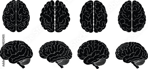 Detailed illustrations of human brains from multiple perspectives in black and white