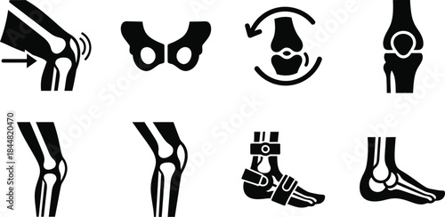 Anatomical illustrations depicting various human joints and skeletal components