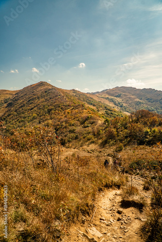 Fototapeta Naklejka Na Ścianę i Meble -  Bieszczady mountain, Bieszczady National Park, Poland.