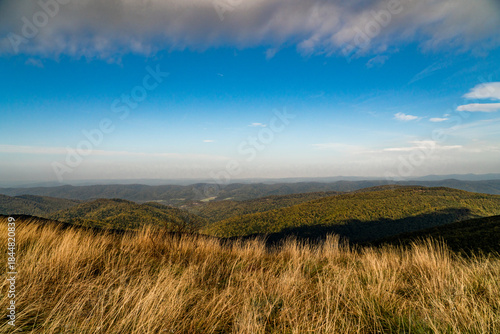 Fototapeta Naklejka Na Ścianę i Meble -  Polonina Wetlinska, Bieszczady mountain, Bieszczady National Park, Poland.