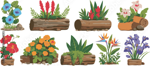 set of spring flowers and gardening tools