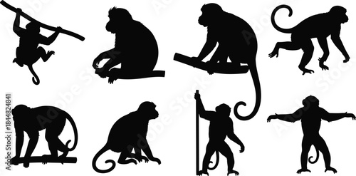 Collection of playful monkey silhouettes in various poses on transparent background