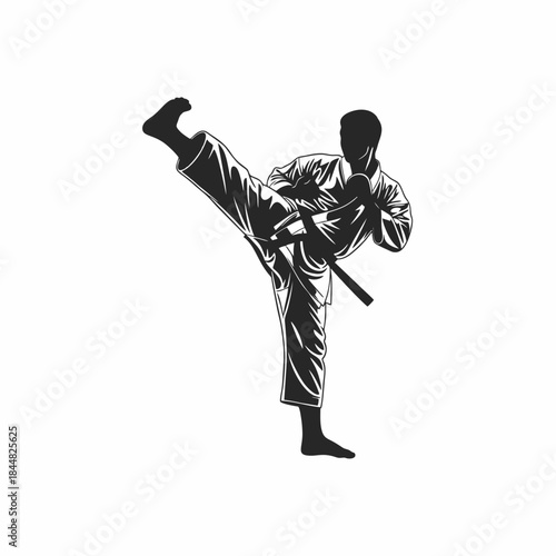 karate athlete vector silhouette with white background