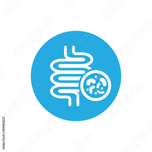 vector design of large tract of digestive tract and probiotics.