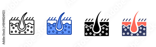 Epidermis icon set multiple style collection