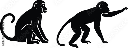 Two monkeys in different poses black color ideal for design on transparent background silhouette