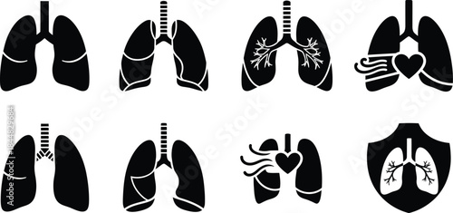 Detailed lung anatomy illustrations in various styles on transparent background silhouette