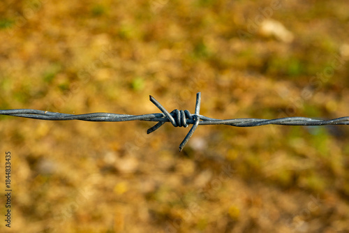 A single strand of barbed wire fencing with twisted knot and a defocused field background, with space for copy above and below. 