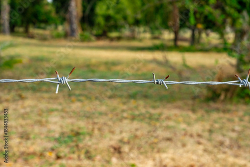A single strand of barbed wire fencing with twisted knot and a defocused field background, with space for copy above and below. 