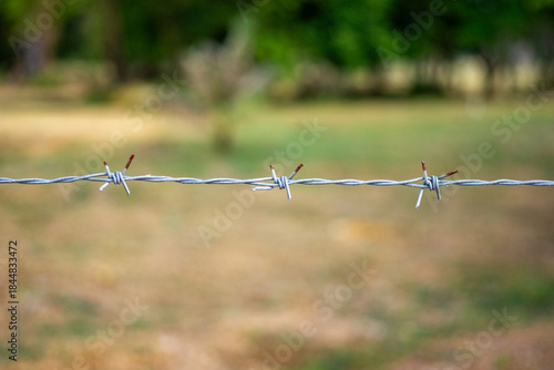 A single strand of barbed wire fencing with twisted knot and a defocused field background, with space for copy above and below. 