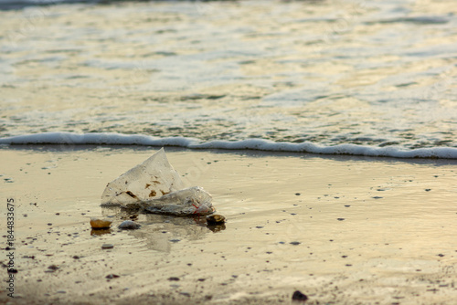 Plastic Waste Scattered on Beach Sand. Plastic waste on beaches is a serious global problem.